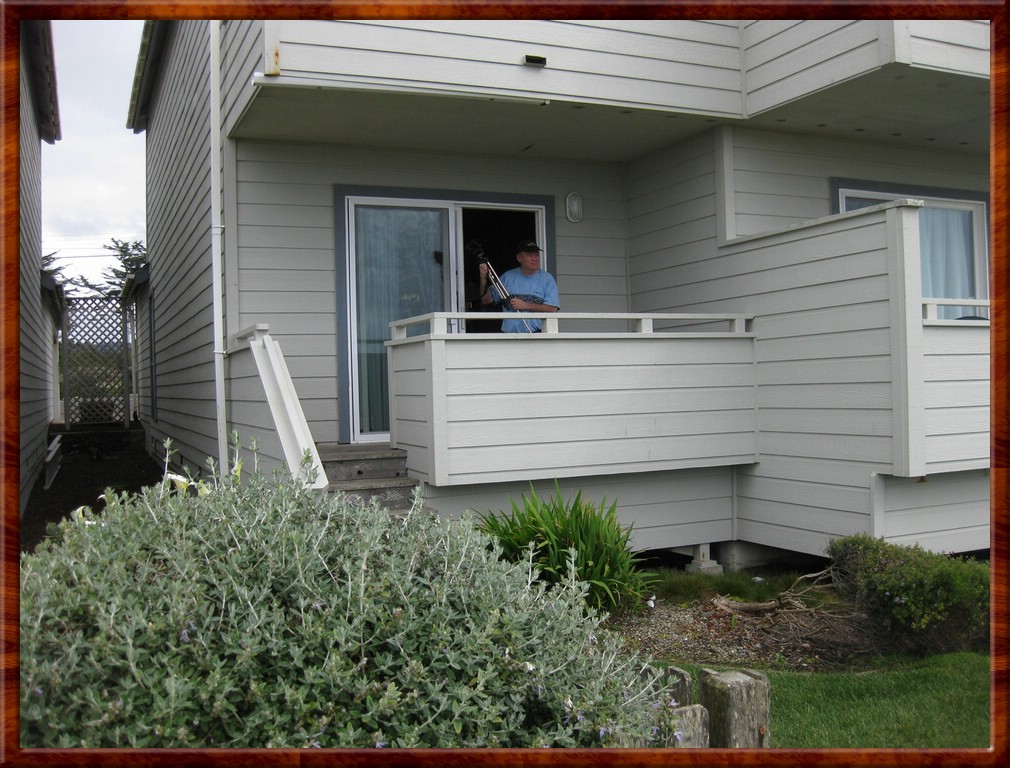 Resized100005.jpg (220 KB)