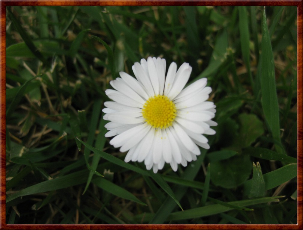 Resized100007.jpg (124 KB)