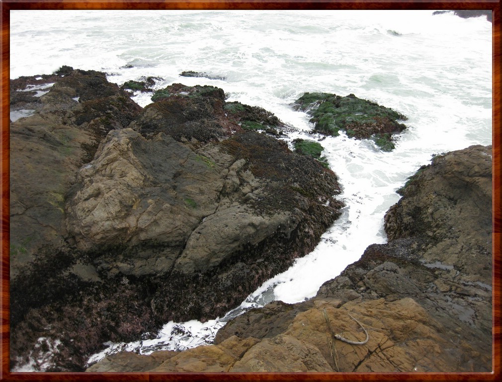 Resized100016.jpg (247 KB)