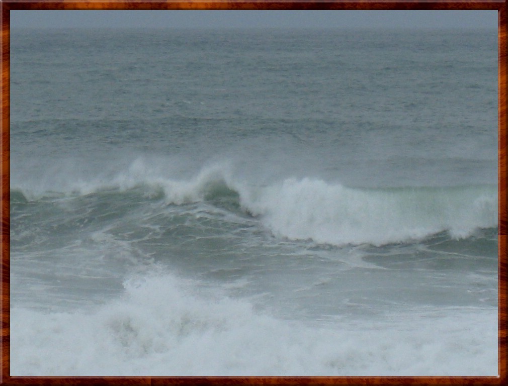 Resized100021.jpg (125 KB)