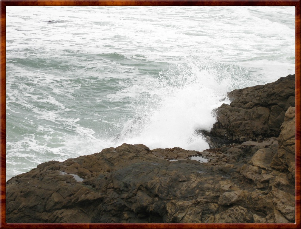 Resized100024.jpg (208 KB)