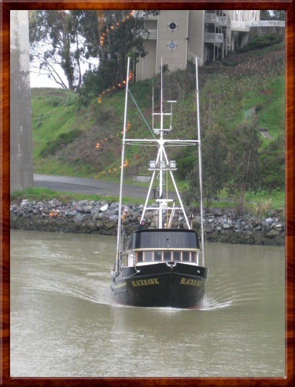 Resized100042.jpg (125 KB)