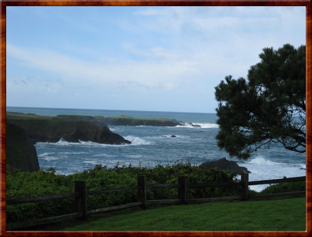 Resized100051.jpg (157 KB)