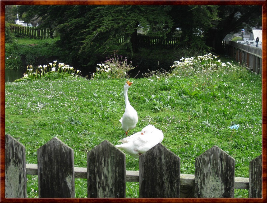 Resized100054.jpg (306 KB)