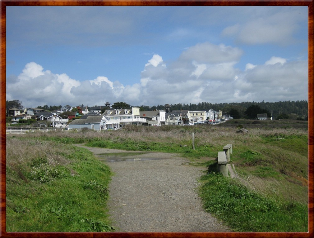 Resized100076.jpg (207 KB)