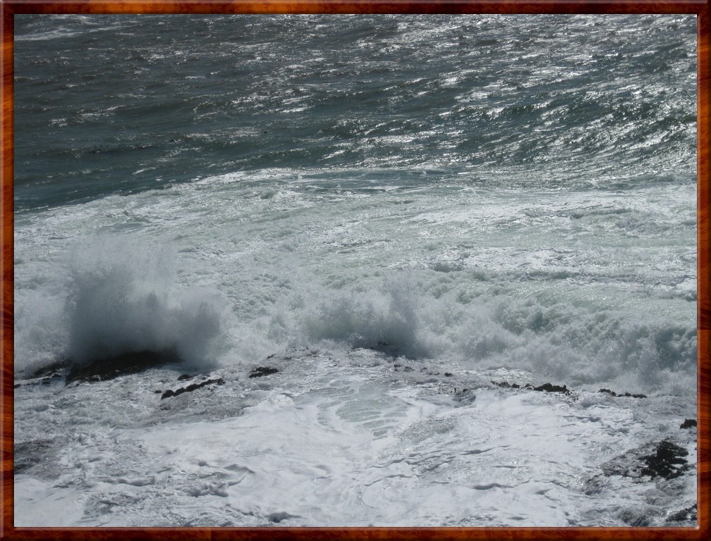 Resized100102.jpg (257 KB)