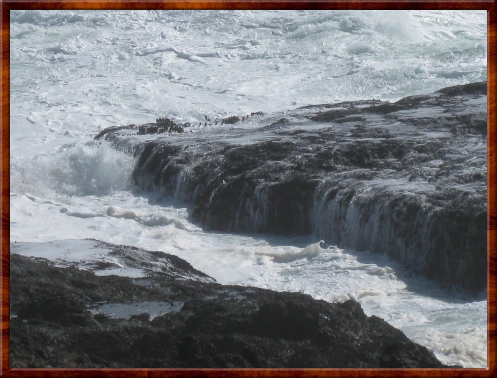 Resized200001.jpg (201 KB)