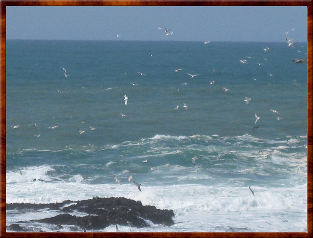 Resized200003.jpg (148 KB)