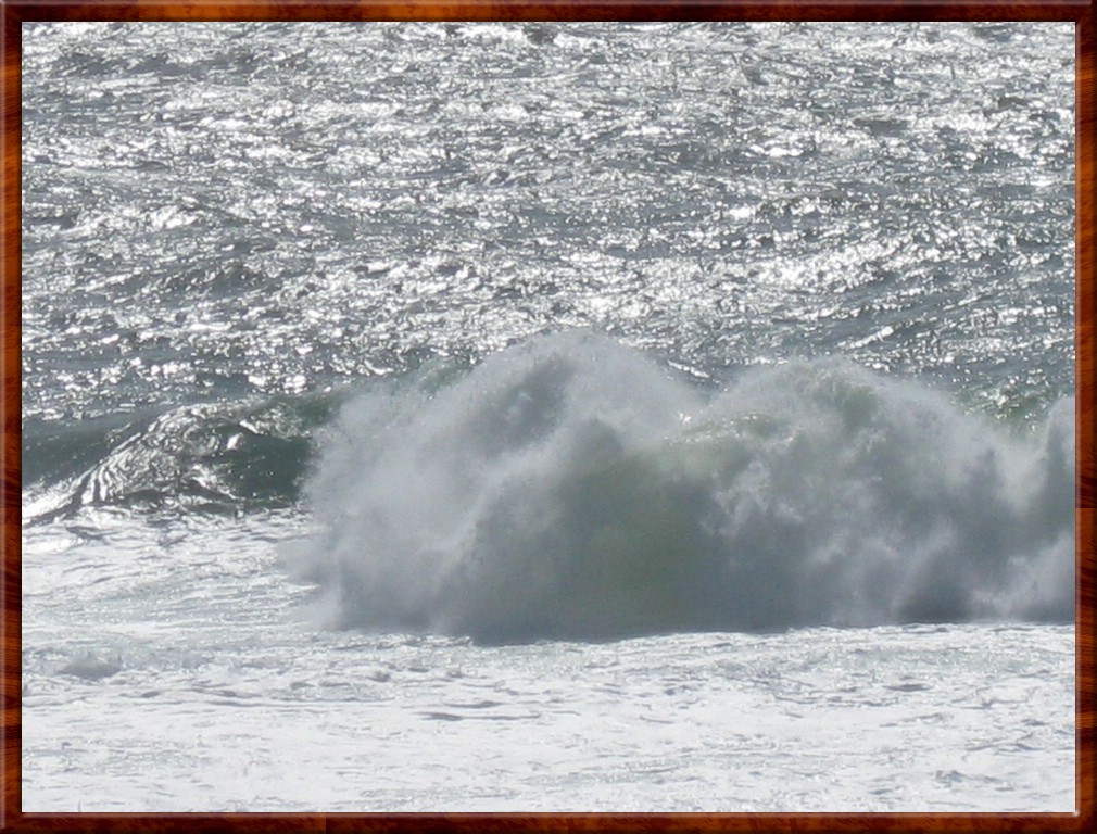 Resized200004.jpg (233 KB)