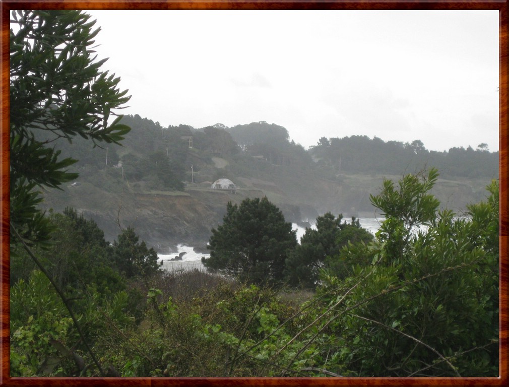 Resized200020.jpg (175 KB)