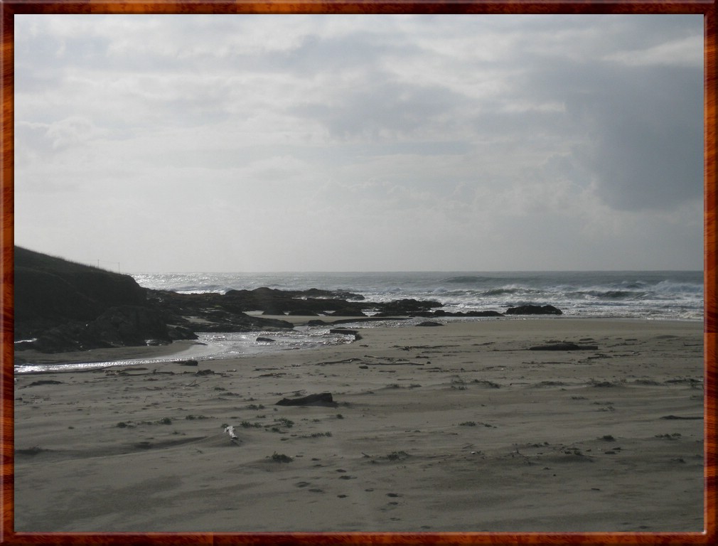 Resized200030.jpg (127 KB)