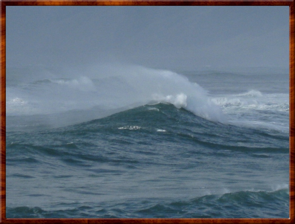 Resized200048.jpg (130 KB)