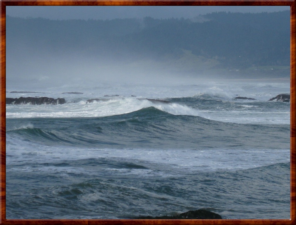 Resized200049.jpg (155 KB)