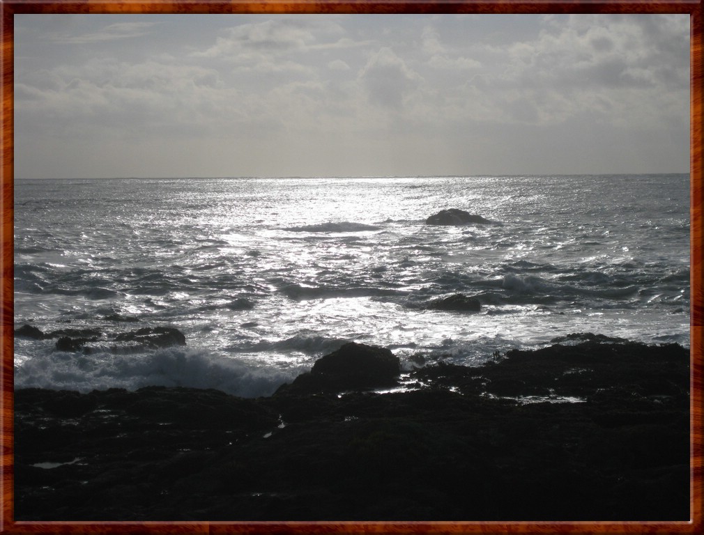 Resized200058.jpg (176 KB)