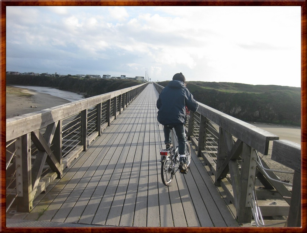 Resized200073.jpg (182 KB)