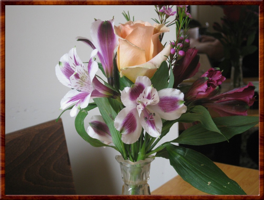 Resized200090.jpg (149 KB)