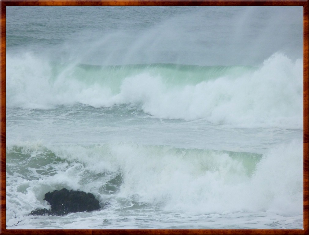 resized00011.jpg (130 KB)