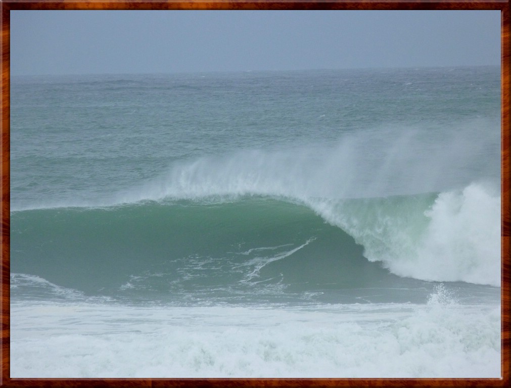 resized00012.jpg (123 KB)