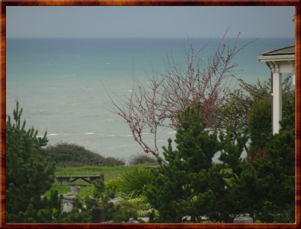 resized00098.jpg (164 KB)