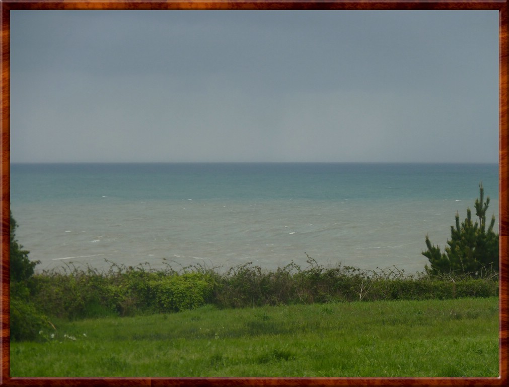 resized00099.jpg (120 KB)