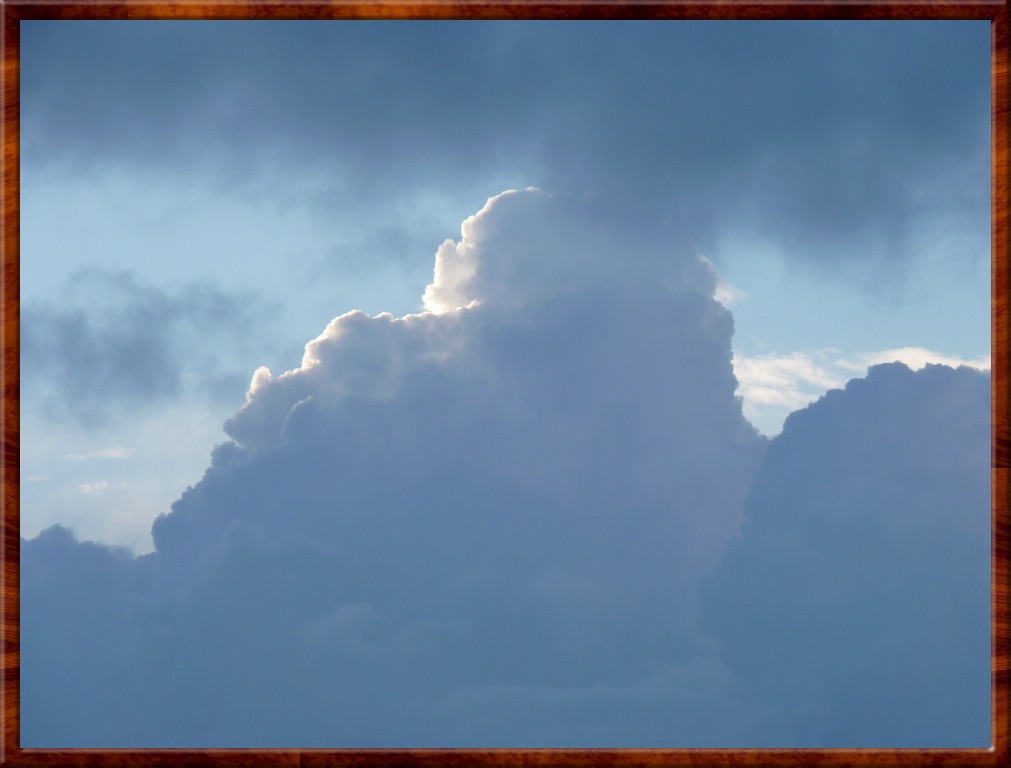 resized00105.jpg (76.5 KB)