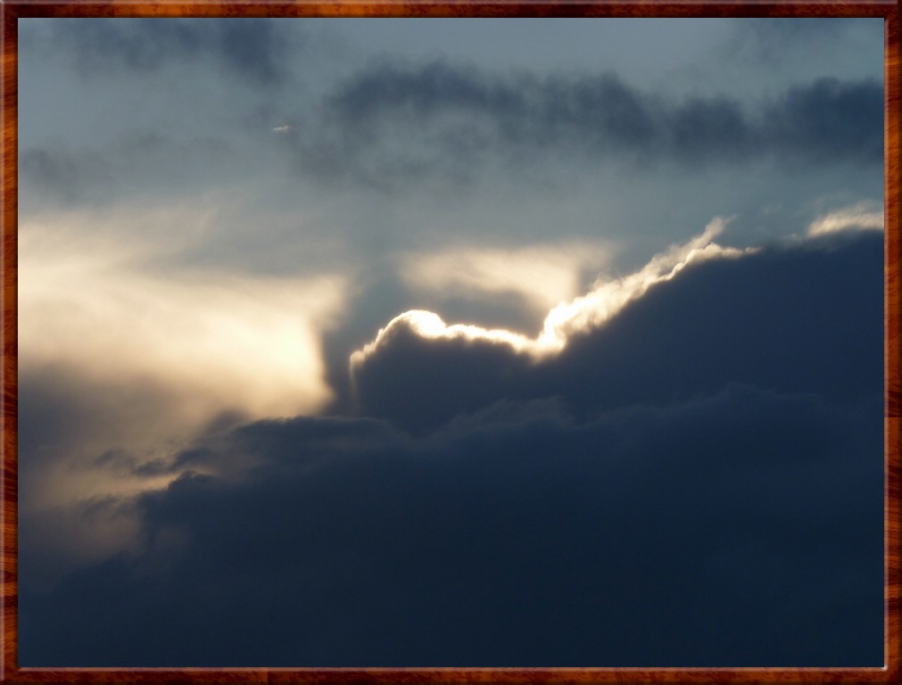 resized00106.jpg (81.9 KB)