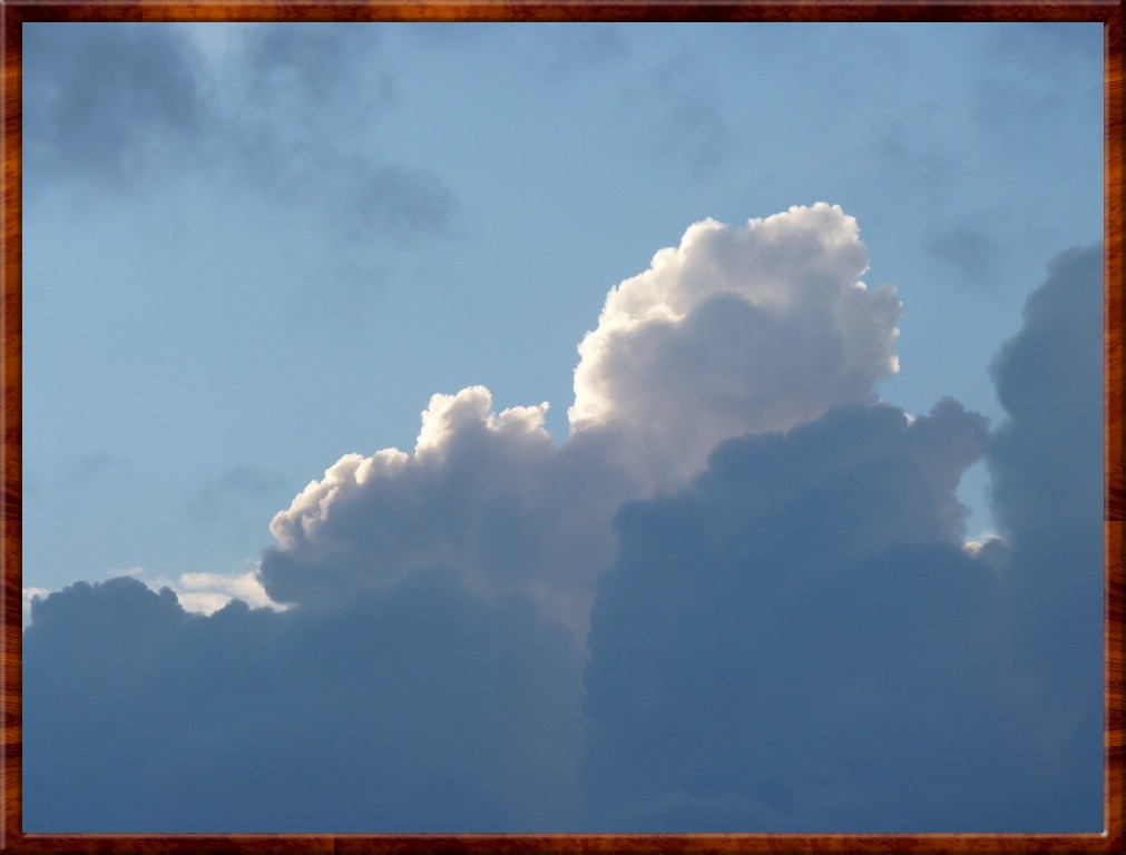 resized00108.jpg (77.9 KB)