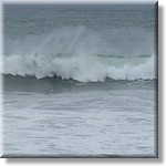 Resized100020.jpg(128 KB)