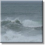 Resized100021.jpg(125 KB)