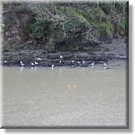 Resized100033.jpg(217 KB)