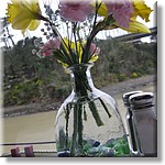 Resized100034.jpg(127 KB)