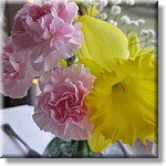 Resized100039.jpg(137 KB)