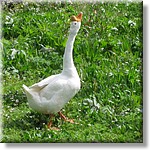 Resized100055.jpg(345 KB)