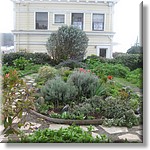 Resized100064.jpg(277 KB)