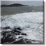 Resized100092.jpg(239 KB)