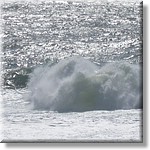 Resized200004.jpg(233 KB)