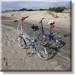 Resized200032.jpg(247 KB)