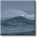 Resized200048.jpg(130 KB)