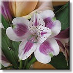 Resized200085.jpg(146 KB)