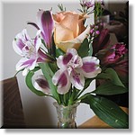 Resized200090.jpg(149 KB)