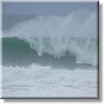 resized00027.jpg(101 KB)