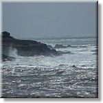 resized00044.jpg(197 KB)