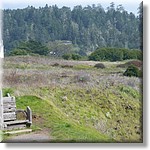 resized00052.jpg(311 KB)