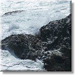 resized00066.jpg(267 KB)