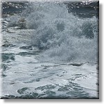 resized00069.jpg(234 KB)