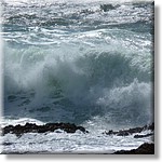 resized00070.jpg(246 KB)