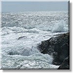 resized00078.jpg(232 KB)