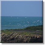 resized00088.jpg(145 KB)