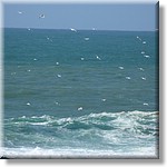 resized00091.jpg(154 KB)