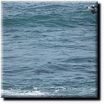 P1080237.jpg(200 KB)